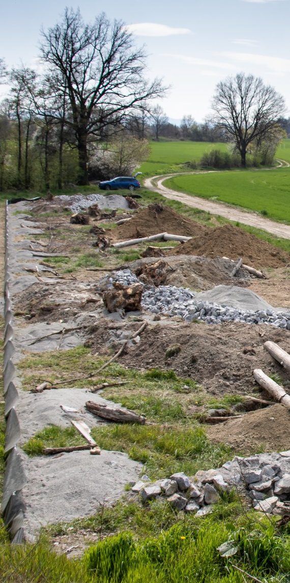 CEF-Fläche für Zauneidechsen Angelegte Zauneidechsenfläche